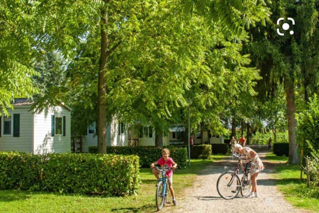 Location Mh Situee A 15 Mn D Europa Park Et Rulantika Lejlighed Boofzheim Eksteriør billede