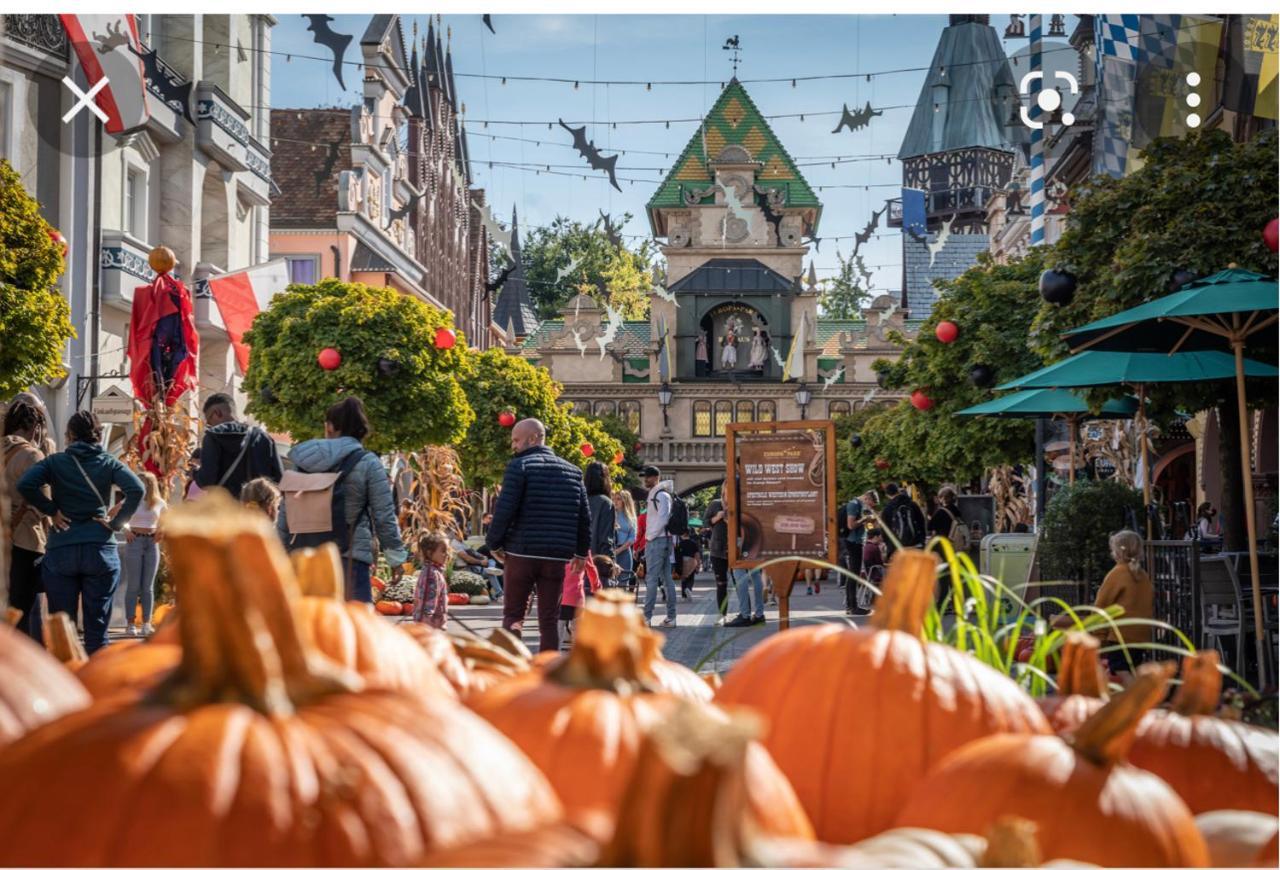 Location Mh Situee A 15 Mn D Europa Park Et Rulantika Lejlighed Boofzheim Eksteriør billede